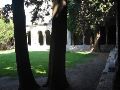 IMG_4211