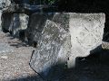 IMG_4233
