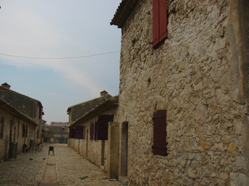 IMG_3990.JPG