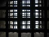 IMG_3988.JPG