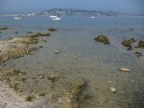 IMG_3995.JPG