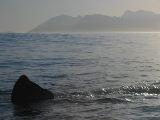 IMG_3686