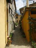 IMG_3895.JPG