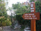 IMG_5461.JPG