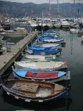 IMG_5487.JPG