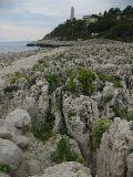 IMG_5491.JPG