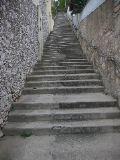 IMG_5506.JPG