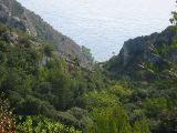 IMG_5467.JPG