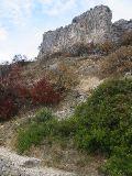 IMG_5475.JPG