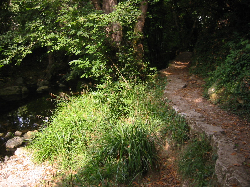 IMG_4633.JPG