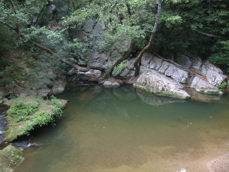IMG_4637.JPG