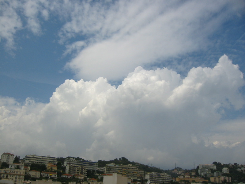 IMG_4925.JPG