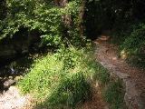 IMG_4633.JPG