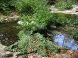 IMG_4634.JPG