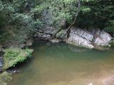 IMG_4637.JPG
