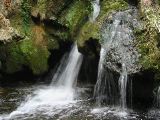 IMG_4641.JPG