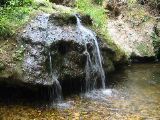 IMG_4643.JPG