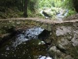 IMG_4648.JPG