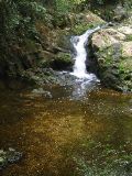 IMG_4652.JPG