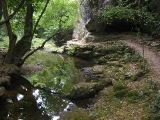 IMG_4655.JPG
