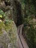 IMG_4673.JPG