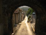 IMG_4679.JPG