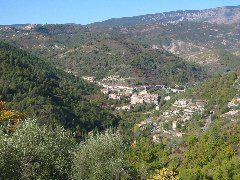 IMG_5605.JPG