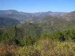 IMG_5618.JPG