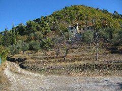 IMG_5607.JPG