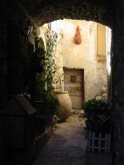 IMG_5648.JPG