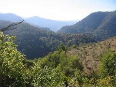 IMG_5608.JPG