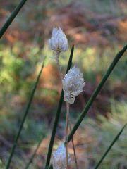IMG_5615.JPG