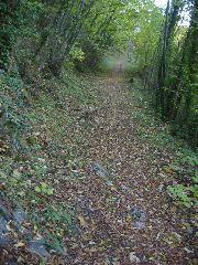 IMG_5616.JPG