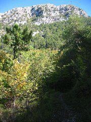 IMG_5617.JPG