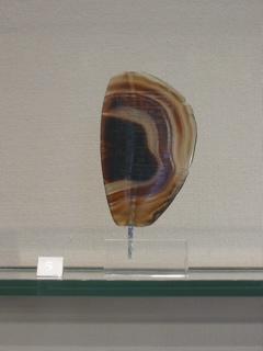 IMG_6545.JPG