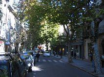 IMG_5838.JPG