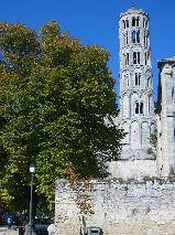 IMG_5855.JPG
