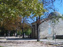 IMG_5856.JPG