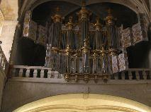 IMG_5859.JPG