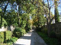 IMG_5917.JPG