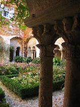IMG_5920.JPG