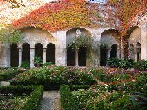 IMG_5921.JPG
