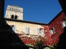 IMG_5923.JPG