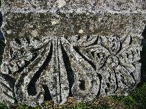 IMG_5941.JPG