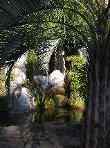IMG_5796.JPG