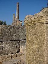 IMG_5949.JPG