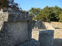 IMG_5950.JPG