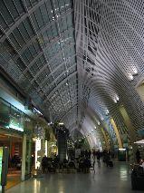 IMG_5975.JPG