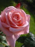 IMG_3359.JPG