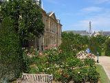 IMG_3364.JPG